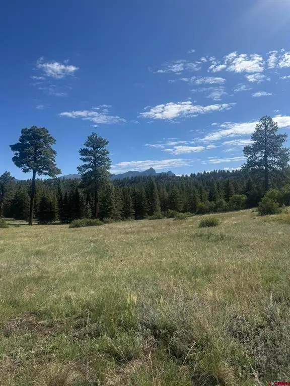 1231 Henry's Lake Drive, Pagosa Springs, CO 81147 - #1