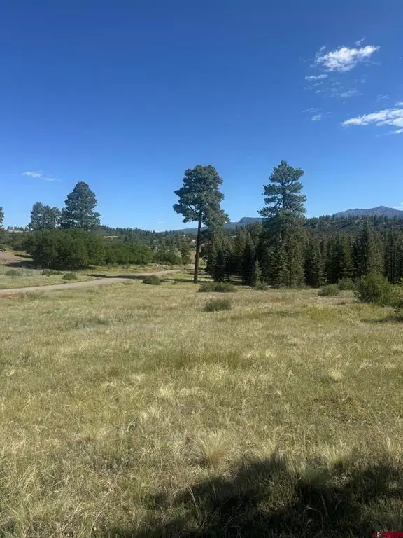 1231 Henry's Lake Drive, Pagosa Springs, CO 81147 - #2