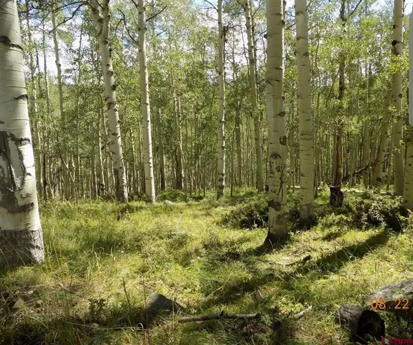#TBD Usfs Rd 763 Road, Pitkin, CO 81241
