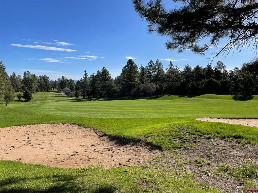 Lot 438 S Badger Trail, Ridgway, CO 81432 - #1