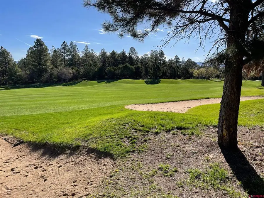 Lot 438 S Badger Trail, Ridgway, CO 81432 - #2