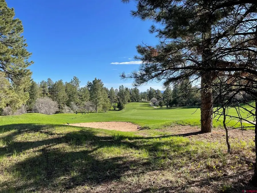Lot 438 S Badger Trail, Ridgway, CO 81432 - #3