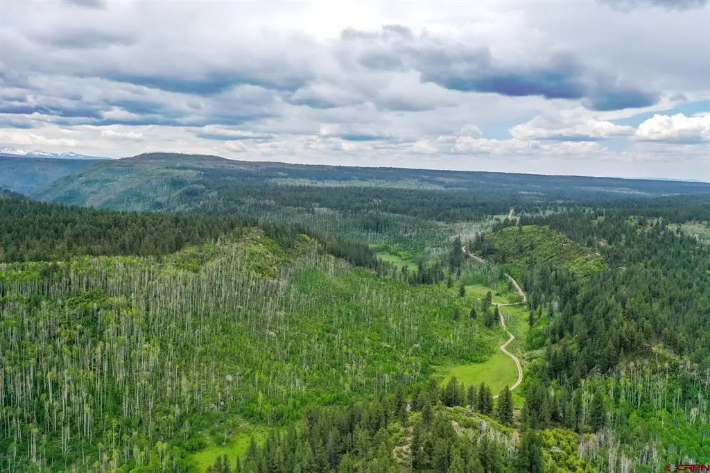 Lot 3 Cottonwood Ranches Subdivision, Dolores, CO 81323 - #1