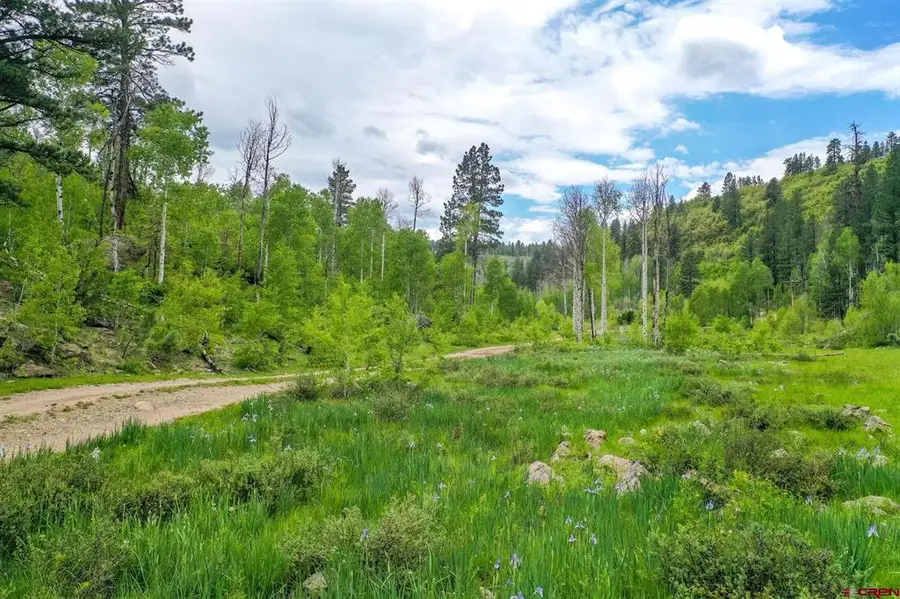 Lot 3 Cottonwood Ranches Subdivision, Dolores, CO 81323 - #2
