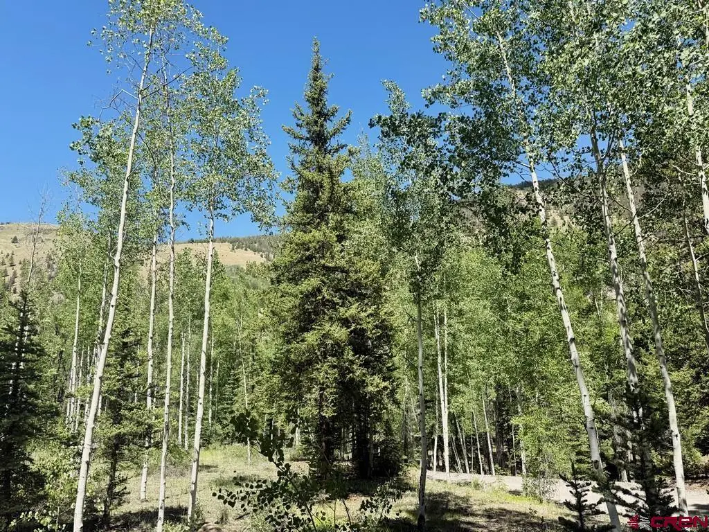 2621 Silver Coin Lane, Lake City, CO 81235 - #1