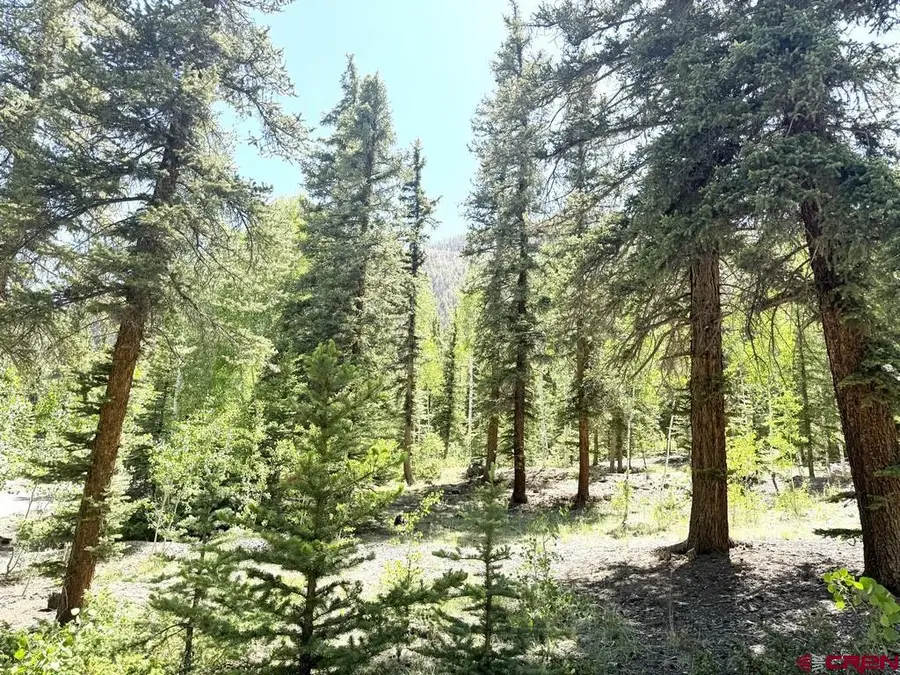 2621 Silver Coin Lane, Lake City, CO 81235 - #2