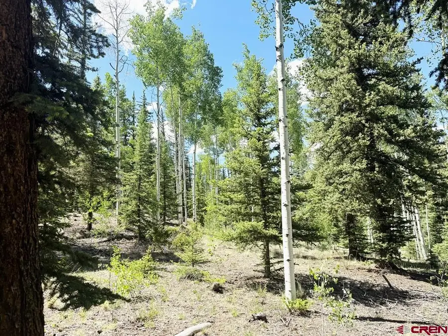2621 Silver Coin Lane, Lake City, CO 81235 - #3