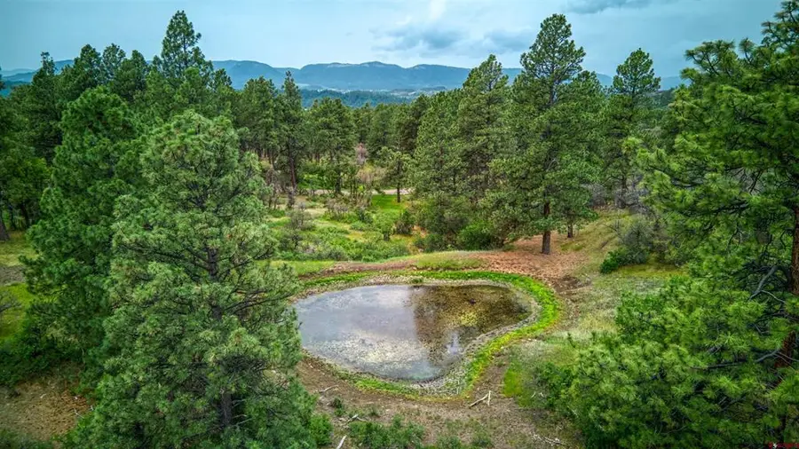 X Klondike Place, Pagosa Springs, CO 81147 - #3
