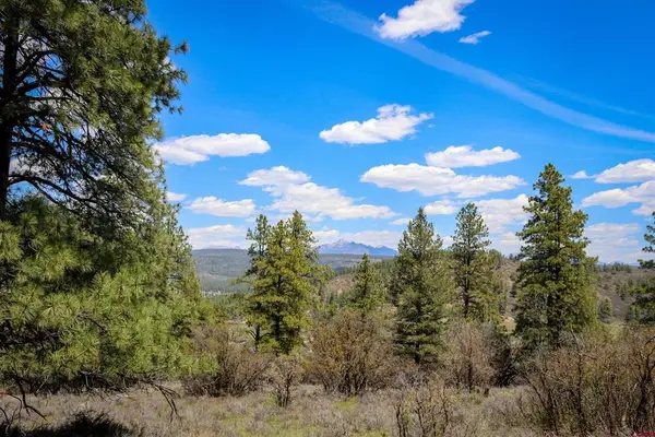 1025 Bobs Place, Pagosa Springs, CO 81147