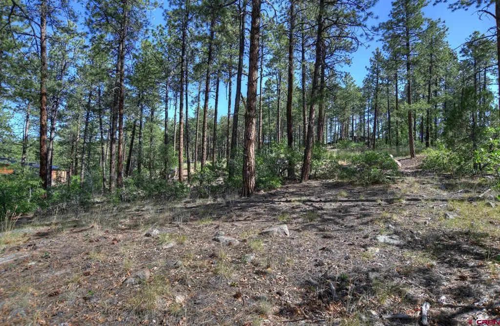 109 Cabin Creek Drive, Durango, CO 81301 - #1