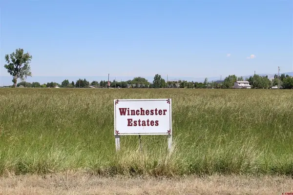 Lot 1 6785 Court, Montrose, CO 81403