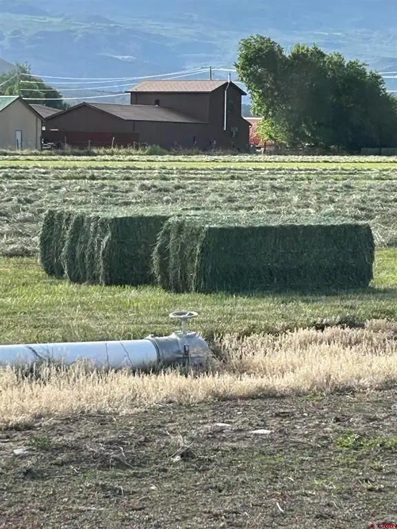 Lot 4 6785 Court, Montrose, CO 81403 - #3