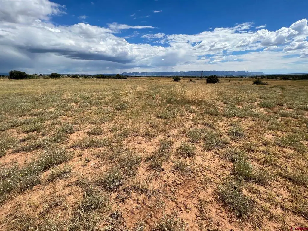 TBD Road 25, Dolores, CO 81323 - #1