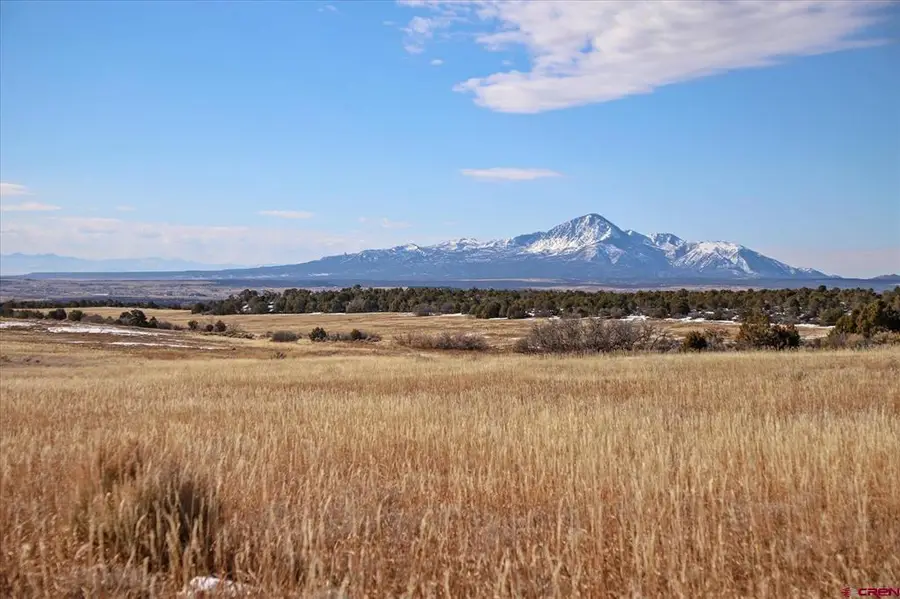 TBD Road 25, Dolores, CO 81323 - #3