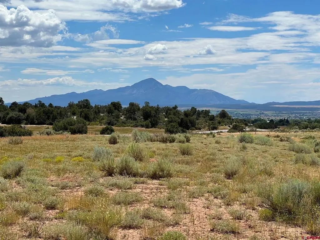 TBD Road 25, Dolores, CO 81323 - #1
