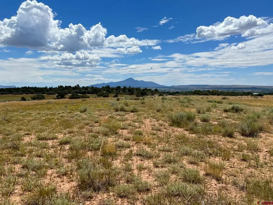 TBD Road 25, Dolores, CO 81323 - #2