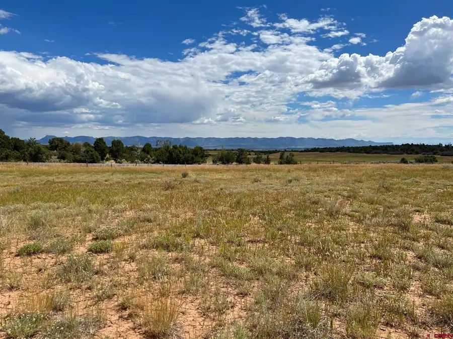 TBD Road 25, Dolores, CO 81323 - #3