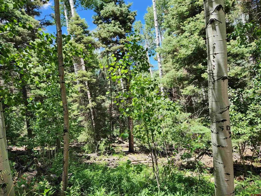 1506 Clarke Mountain Lane, Antonito, CO 81120 - #1