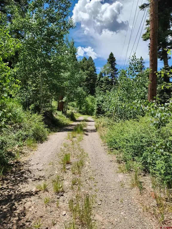 1506 Clarke Mountain Lane, Antonito, CO 81120 - #3