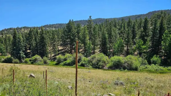 356 Church Creek Drive, South Fork, CO 81154
