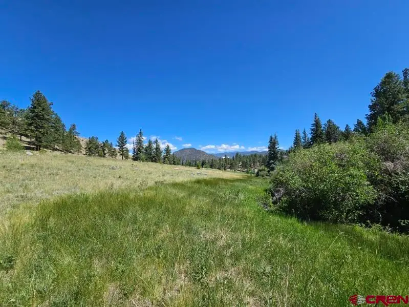356 Church Creek Drive, South Fork, CO 81154 - #3