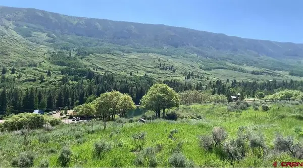 289 Eagles Rest, Cimarron, CO 81220