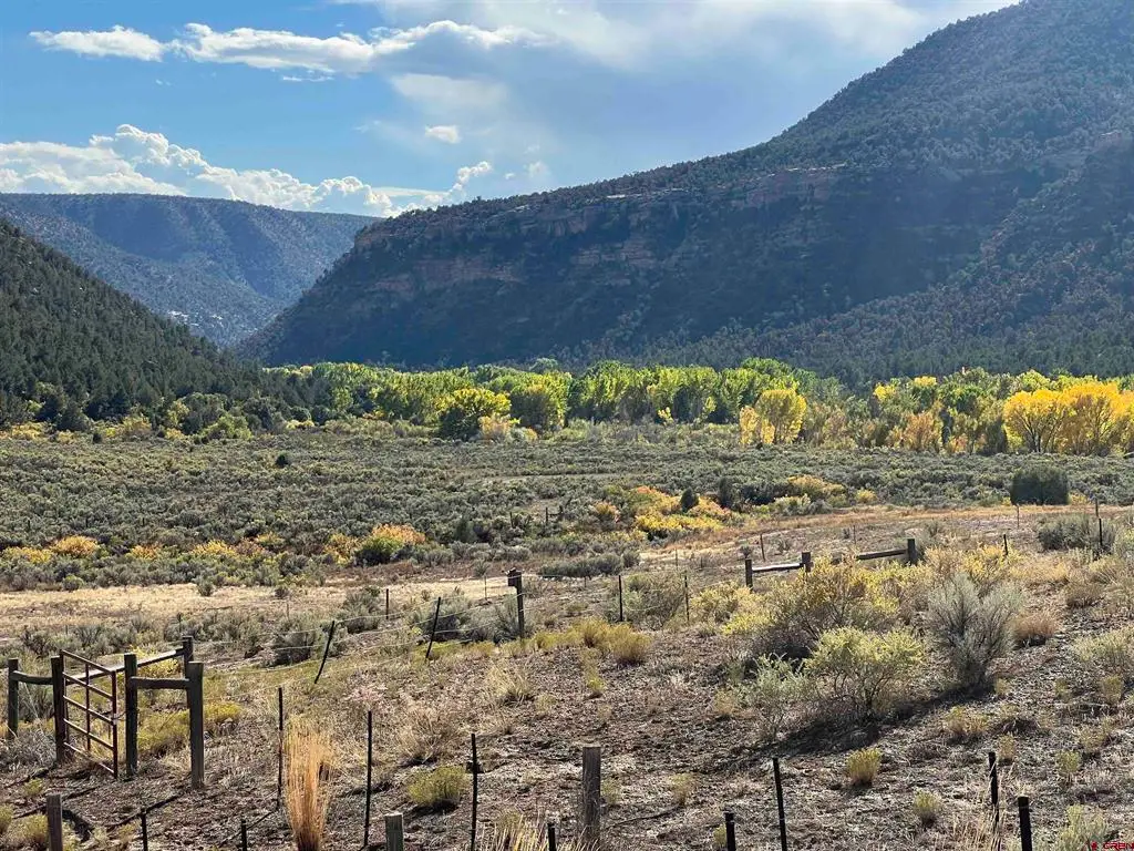 TBD Road 41, Mancos, CO 81328 - #1
