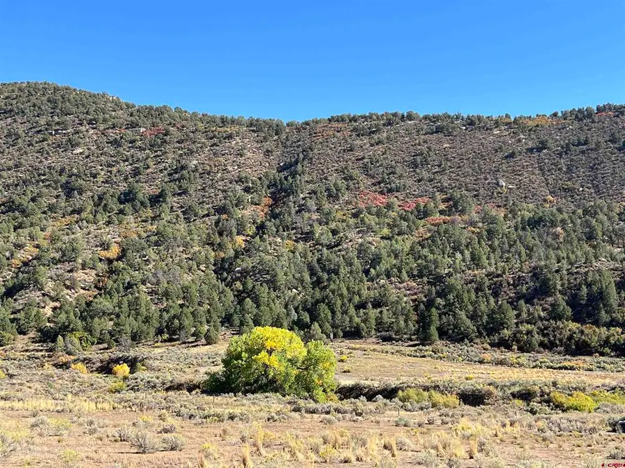 TBD Road 41, Mancos, CO 81328 - #3