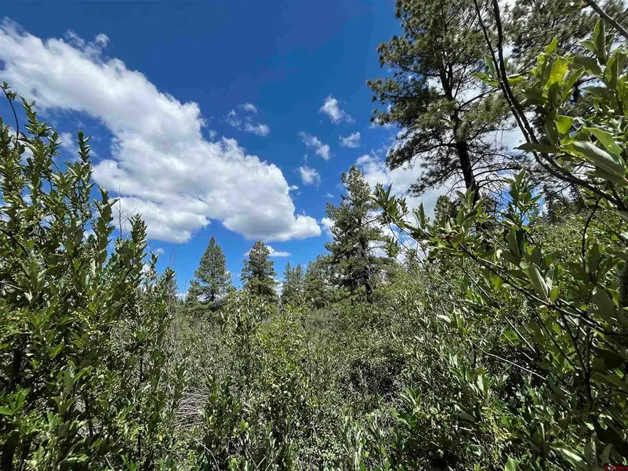 278 Pineridge Trail, Pagosa Springs, CO 81147 - #2