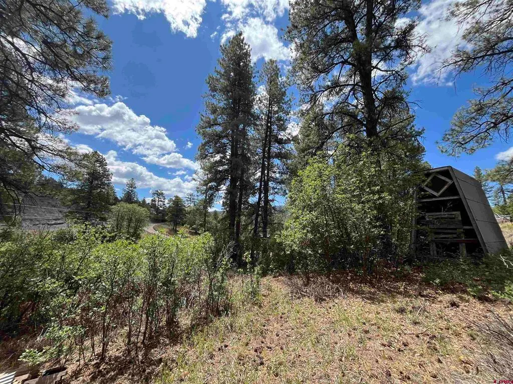 320 Deer Trail, Pagosa Springs, CO 81147 - #1