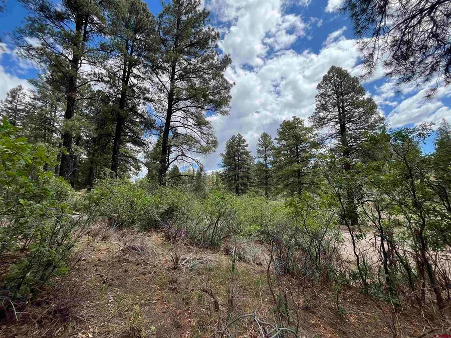 320 Deer Trail, Pagosa Springs, CO 81147 - #3