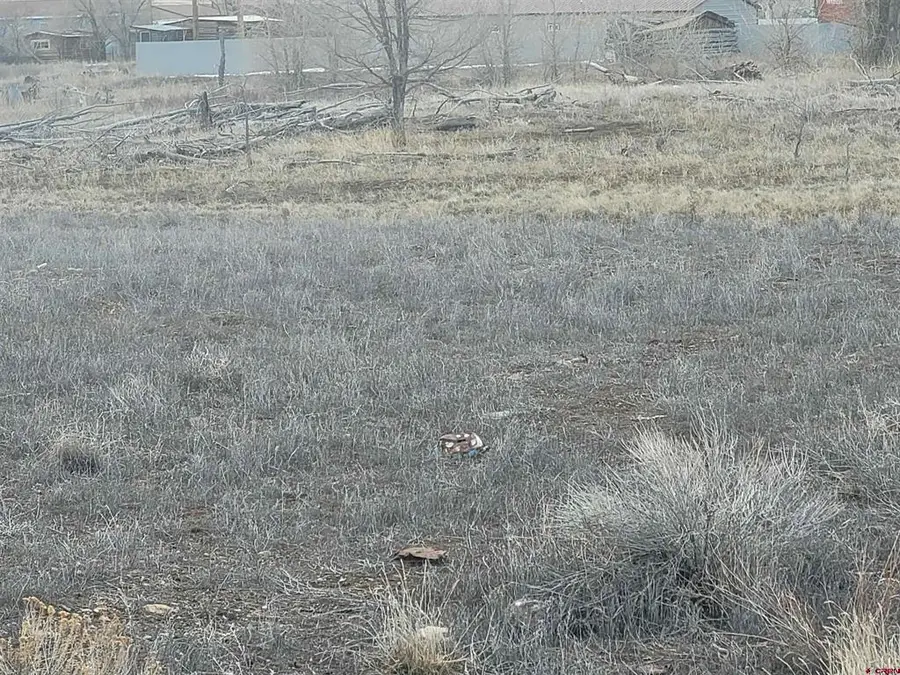 TBD Hwy 285 Highway, Villa Grove, CO 81155 - #3