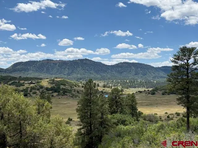 311 E Arbol Park Drive, Pagosa Springs, CO 81147 - #1