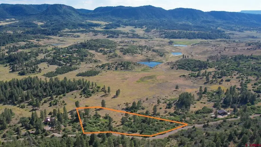 311 E Arbol Park Drive, Pagosa Springs, CO 81147 - #3