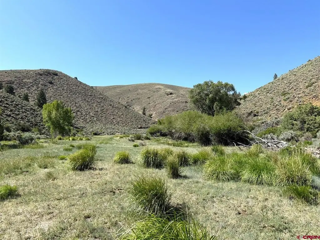 TBD Alice Lode Mining Claim, Powderhorn, CO 81243 - #1