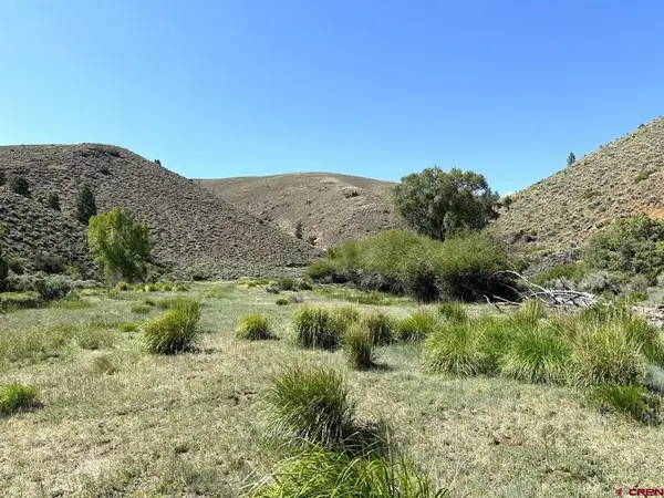 TBD Alice Lode Mining Claim, Powderhorn, CO 81243