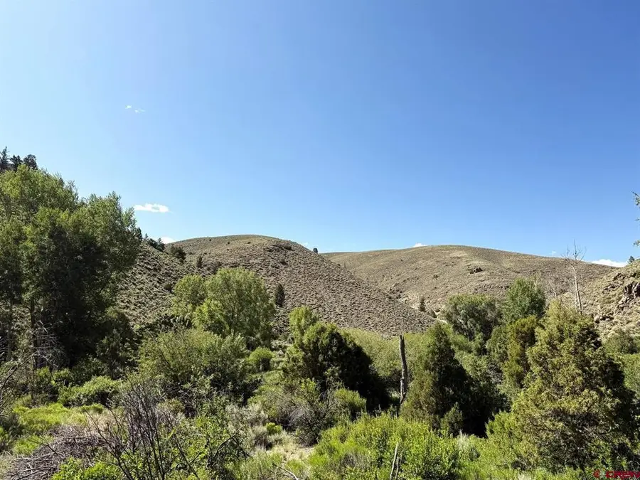 TBD Alice Lode Mining Claim, Powderhorn, CO 81243 - #2