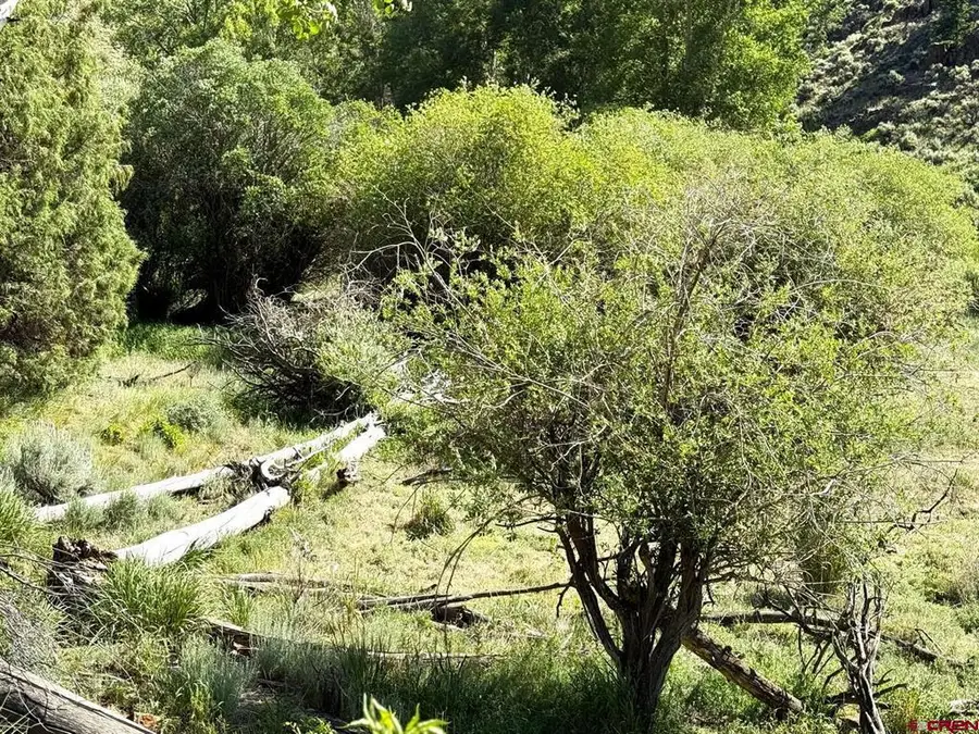 TBD Alice Lode Mining Claim, Powderhorn, CO 81243 - #3