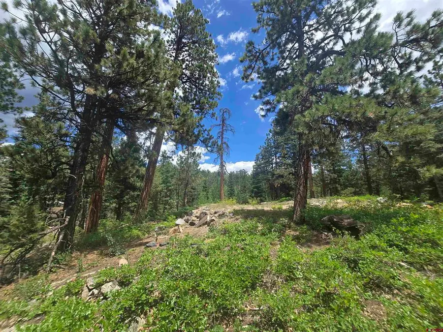 67 Big Pine Trail, Durango, CO 81301 - #2