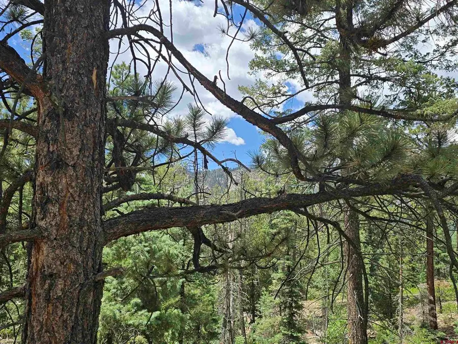 67 Big Pine Trail, Durango, CO 81301 - #3