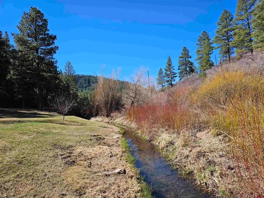 13862 County Road 502, Bayfield, CO 81122 - #3