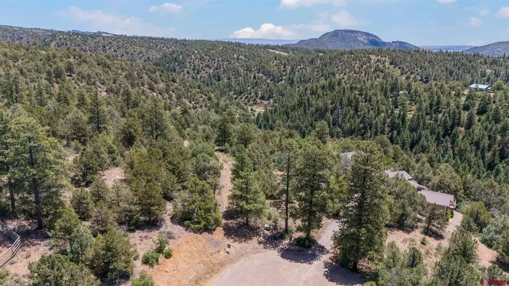285 Logging Trail Road, Durango, CO 81303 - #1