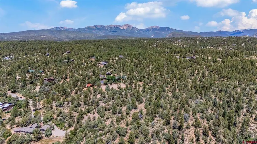285 Logging Trail Road, Durango, CO 81303 - #2