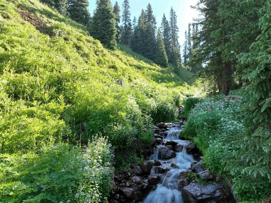 TBD Road 51, Silverton, CO 81433 - #3