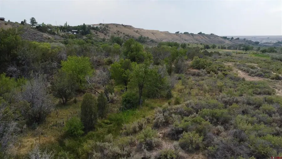21538 Hamilton Road, Eckert, CO 81418 - #2