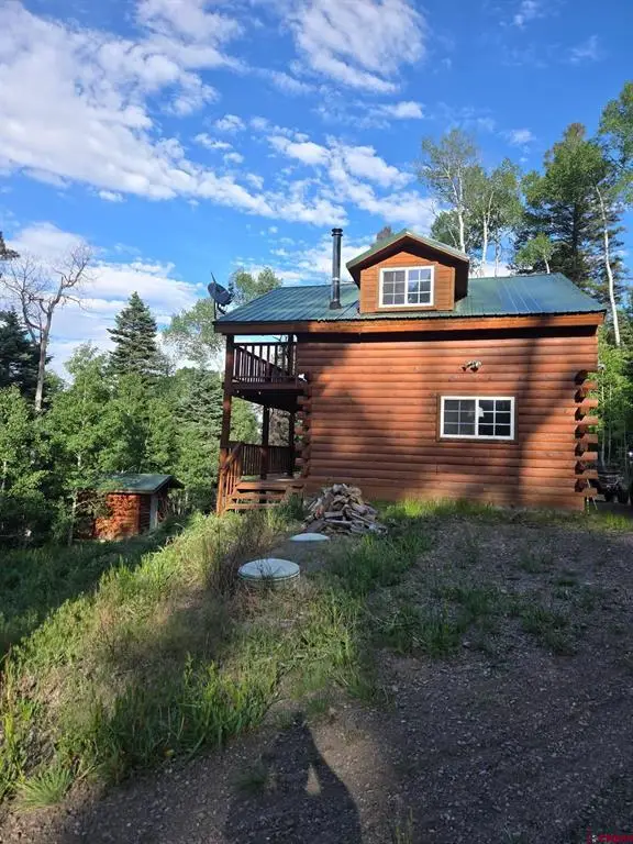 1407 Clarke Mountain Lane, Antonito, CO 81120 - #2