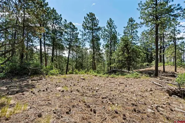 319 Blue Ridge Circle, Bayfield, CO 81122