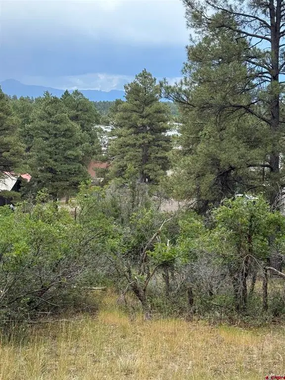 821 Aspenglow Boulevard, Pagosa Springs, CO 81147 - #1