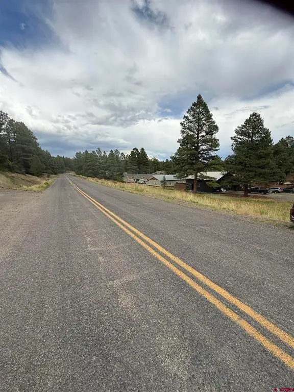 821 Aspenglow Boulevard, Pagosa Springs, CO 81147 - #3