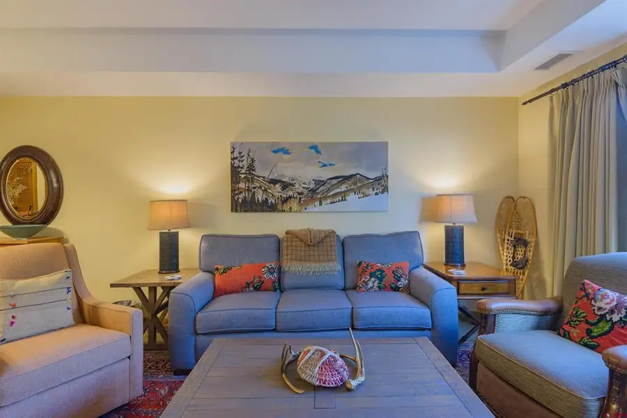 620 Gothic Road #317, Mount Crested Butte, CO 81225 - #3